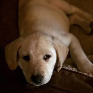 Meet your Posher, Nikki